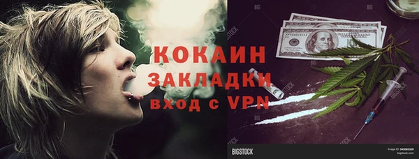 твердый Аркадак