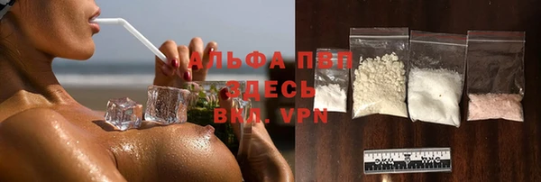 твердый Аркадак