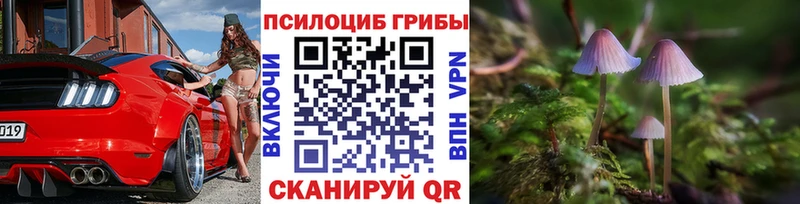 blacksprut ссылка  Жиздра  Галлюциногенные грибы Magic Shrooms 
